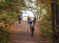 Normal_mountainbike