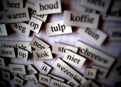 Normal_woorden__letters__schrijven__brief__tekst__taal
